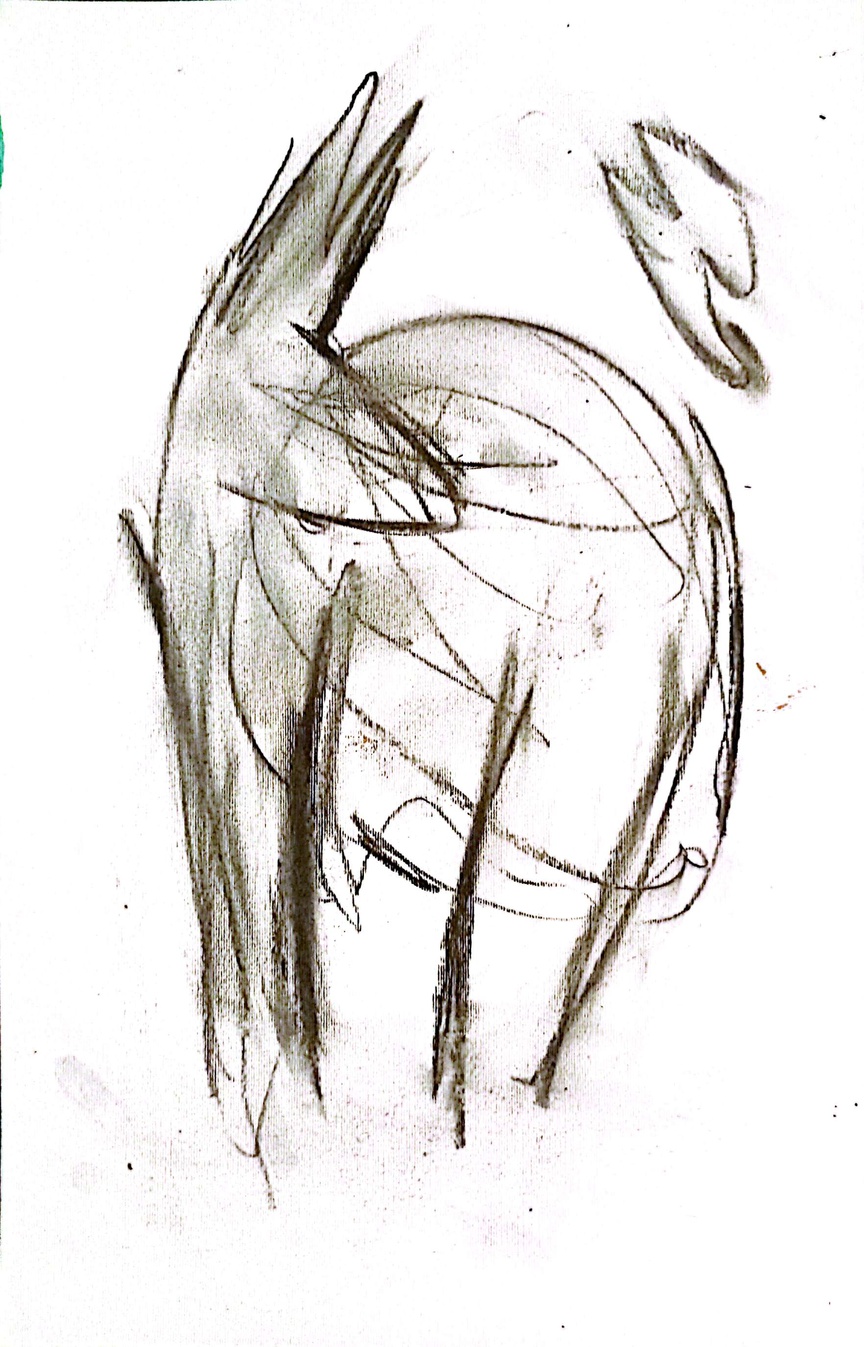 drawings